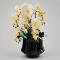 Cascading Orchids