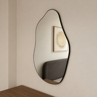 Sky Mirror