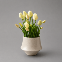Cream Tulip