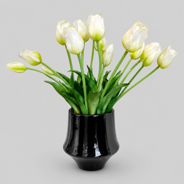 White Tulips